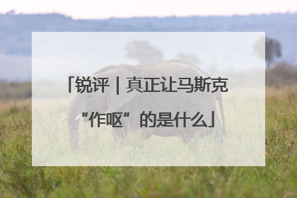 锐评｜真正让马斯克“作呕”的是什么