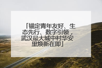 锚定青年友好、生态先行、数字引领，武汉最大城中村华安里焕新在即