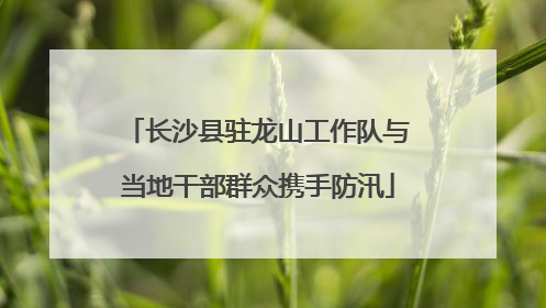 长沙县驻龙山工作队与当地干部群众携手防汛