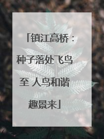 镇江高桥：种子落处飞鸟至 人鸟和谐趣景来