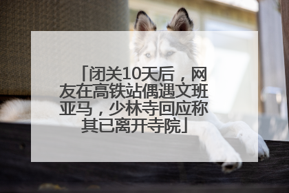 闭关10天后，网友在高铁站偶遇文班亚马，少林寺回应称其已离开寺院
