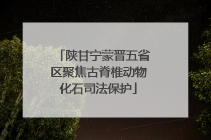 陕甘宁蒙晋五省区聚焦古脊椎动物化石司法保护