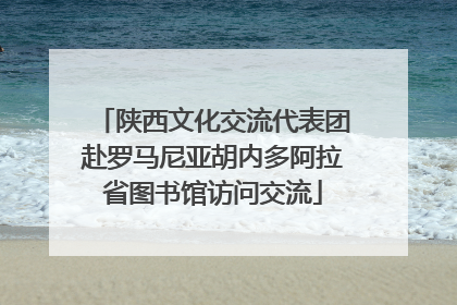 陕西文化交流代表团赴罗马尼亚胡内多阿拉省图书馆访问交流