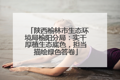 陕西榆林市生态环境局榆阳分局：实干厚植生态底色，担当描绘绿色答卷