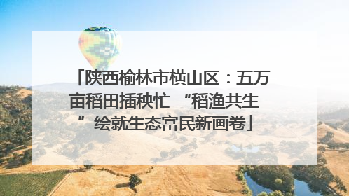 陕西榆林市横山区：五万亩稻田插秧忙 “稻渔共生”绘就生态富民新画卷