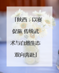 陕西：以赛促旅 传统武术与自然生态双向奔赴