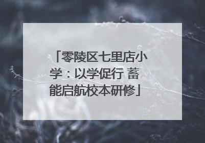 零陵区七里店小学：以学促行 蓄能启航校本研修