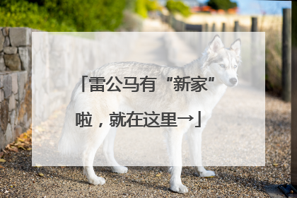 雷公马有“新家”啦，就在这里→
