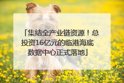集结全产业链资源！总投资16亿元的临港海底数据中心正式落地