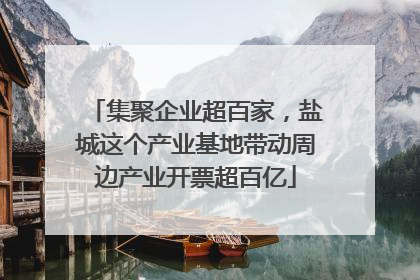 集聚企业超百家，盐城这个产业基地带动周边产业开票超百亿