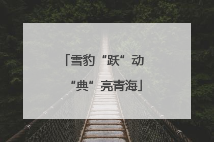 雪豹“跃”动 “典”亮青海