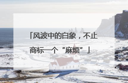风波中的白象，不止商标一个“麻烦”