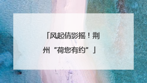 风起倩影摇！荆州“荷您有约”