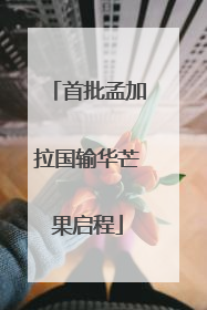 首批孟加拉国输华芒果启程