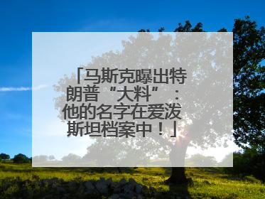 马斯克曝出特朗普“大料”：他的名字在爱泼斯坦档案中！
