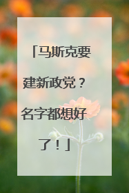 马斯克要建新政党？名字都想好了！