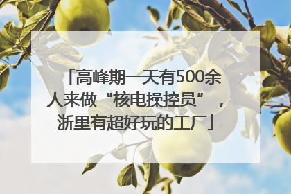 高峰期一天有500余人来做“核电操控员”，浙里有超好玩的工厂