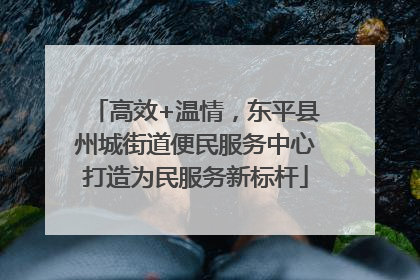 高效+温情，东平县州城街道便民服务中心打造为民服务新标杆