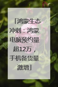 鸿蒙生态冲刺：鸿蒙电脑预约量超12万，手机备货量激增