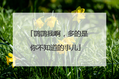 鹮鹮我啊，多的是你不知道的事儿