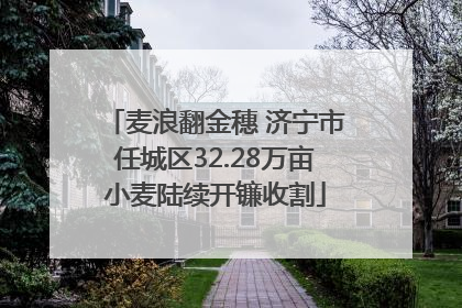 麦浪翻金穗 济宁市任城区32.28万亩小麦陆续开镰收割