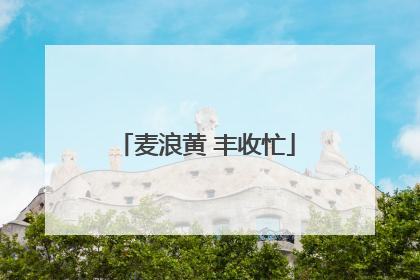 麦浪黄 丰收忙