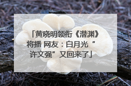 黄晓明领衔《潜渊》将播 网友：白月光“许文强”又回来了