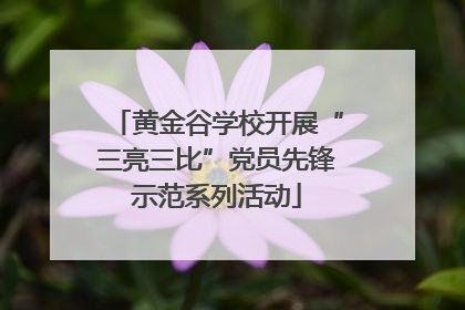 黄金谷学校开展“三亮三比”党员先锋示范系列活动