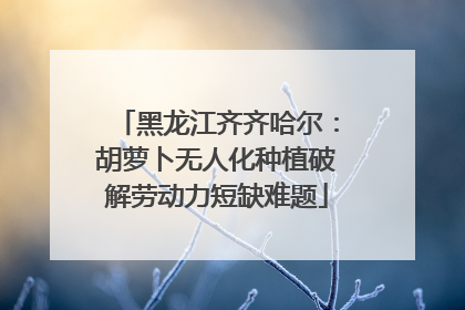 黑龙江齐齐哈尔：胡萝卜无人化种植破解劳动力短缺难题