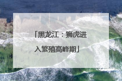 黑龙江：狮虎进入繁殖高峰期