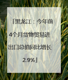 黑龙江：今年前4个月货物贸易进出口总值同比增长2.9%