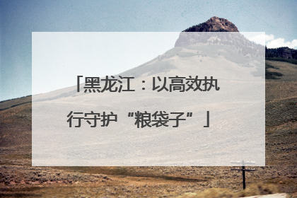 黑龙江：以高效执行守护“粮袋子”