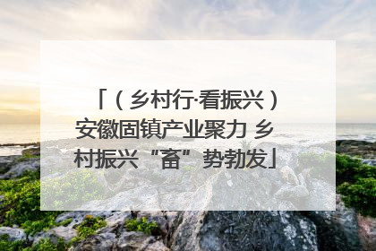 （乡村行·看振兴）安徽固镇产业聚力 乡村振兴“畜”势勃发