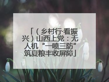 （乡村行·看振兴）山西上党：无人机“一喷三防”筑夏粮丰收屏障
