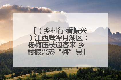 （乡村行·看振兴）江西鹰潭月湖区：杨梅压枝迎客来 乡村振兴添“梅”景