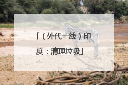 （外代一线）印度：清理垃圾