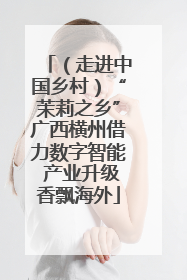 （走进中国乡村）“茉莉之乡”广西横州借力数字智能 产业升级香飘海外