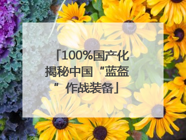 100%国产化 揭秘中国“蓝盔”作战装备
