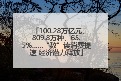 100.28万亿元、809.8万种、65.5%……“数”读消费提速 经济潜力释放