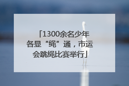 1300余名少年各显“绳”通，市运会跳绳比赛举行