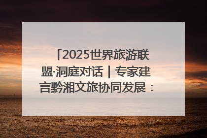2025世界旅游联盟·洞庭对话｜专家建言黔湘文旅协同发展：聚焦产品稀缺性 深化区域经验共享