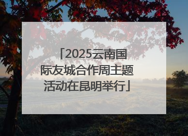 2025云南国际友城合作周主题活动在昆明举行