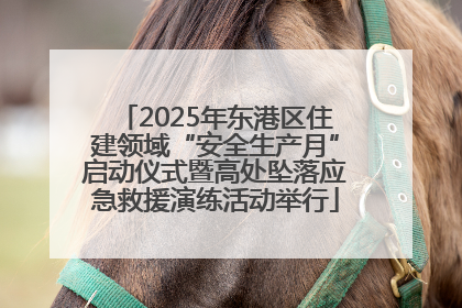 2025年东港区住建领域“安全生产月”启动仪式暨高处坠落应急救援演练活动举行