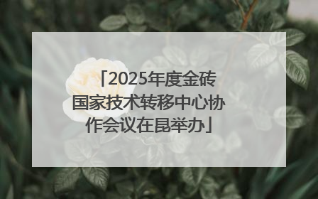 2025年度金砖国家技术转移中心协作会议在昆举办