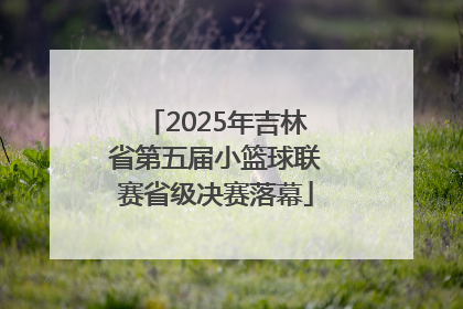 2025年吉林省第五届小篮球联赛省级决赛落幕