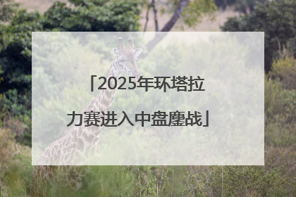 2025年环塔拉力赛进入中盘鏖战