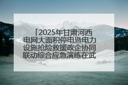 2025年甘肃河西电网大面积停电暨电力设施抢险救援政企协同联动综合应急演练在武威成功举行