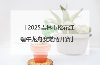 2025吉林市松花江端午龙舟赛燃情开赛