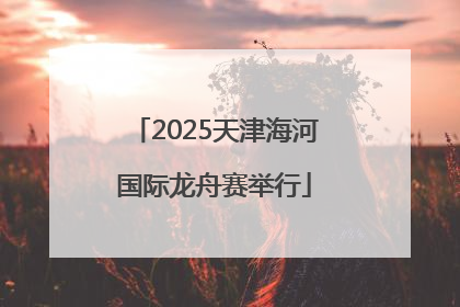 2025天津海河国际龙舟赛举行