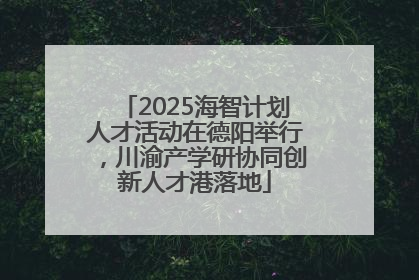 2025海智计划人才活动在德阳举行，川渝产学研协同创新人才港落地